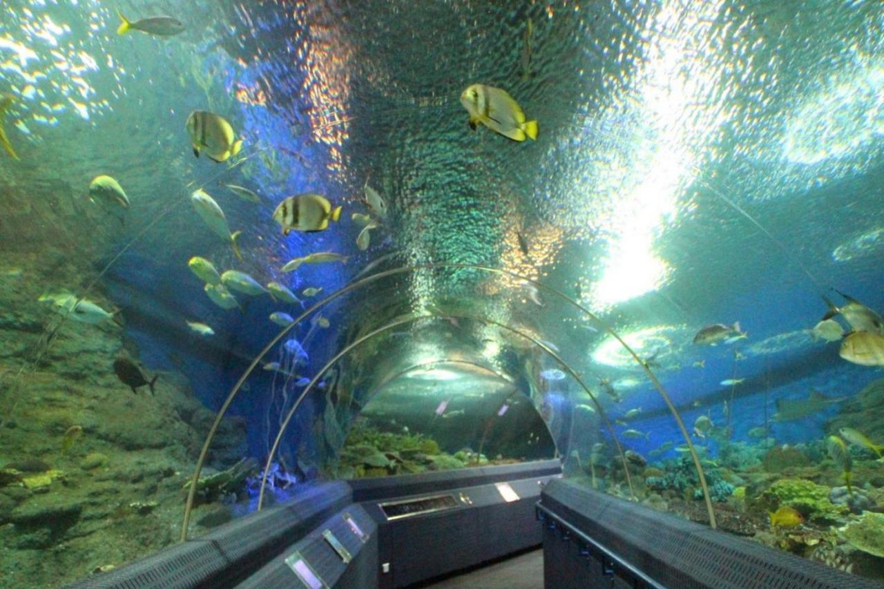 Oyo 549 Maesri Resort Патая Екстериор снимка